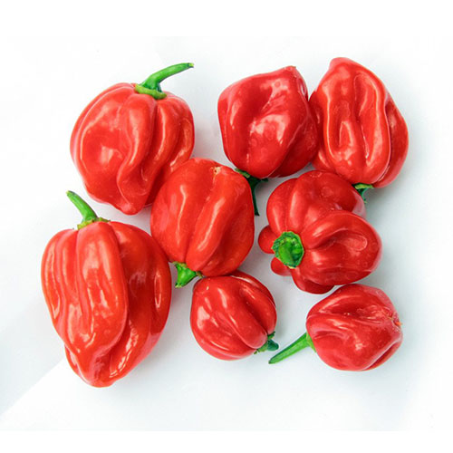 Gr Red Scorpions Pepper Pilipili SokoMall Online Shopping For Grocery Electonics