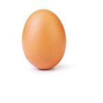 1Pc Eggs Pondeuse